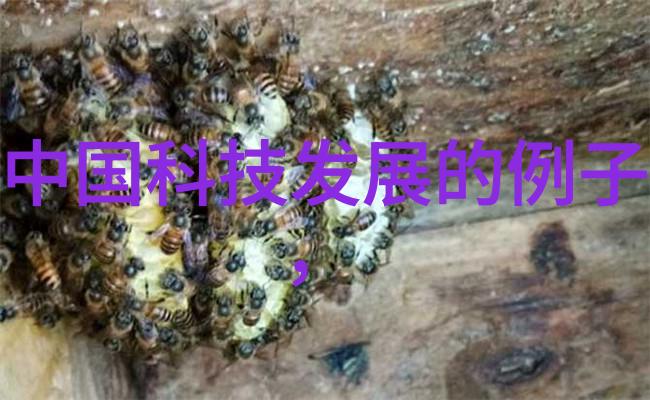 气体压缩机的基本工作原理与应用概述