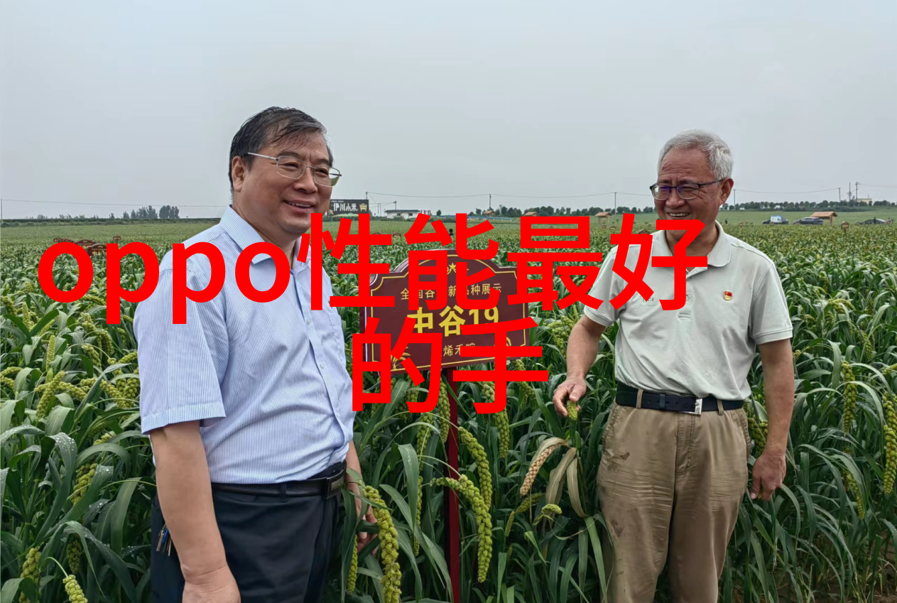 华为未来几个月内计划向市场推出哪些新的设备或服务并且它们与当前市场趋势有什么关系和影响力呢