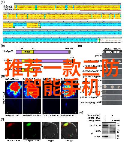 从零到英雄搭建一个完善的废气处理系统工作坊