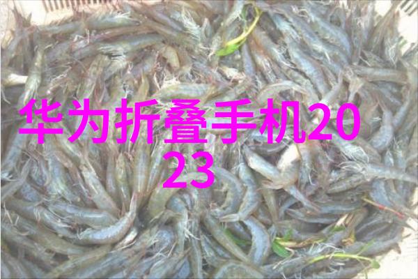 专业技术资格证书有哪些种类-职业技能大师解密专业技术资格证书的多样性