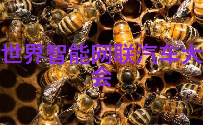各种工业领域中不锈steelPipe标准与要求分析