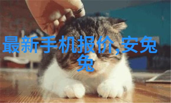 滚筒输送设备物流效率的推动者与创新之选