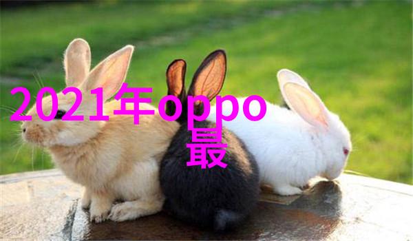 倚天屠龙记江湖奇缘与武林争霸的传奇故事