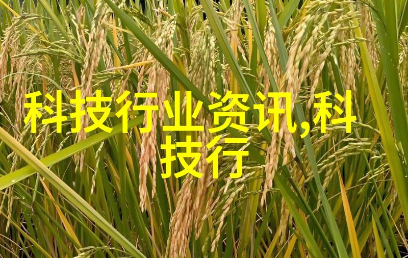 智能革命人工智能如何重塑我们的未来世界