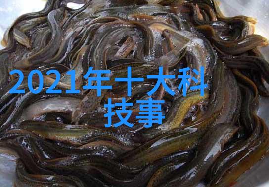 丝接管件细腻的连接艺术