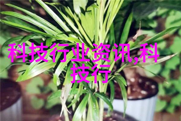 混凝土结构工程的坚固之谜施工质量验收的艺术与科学