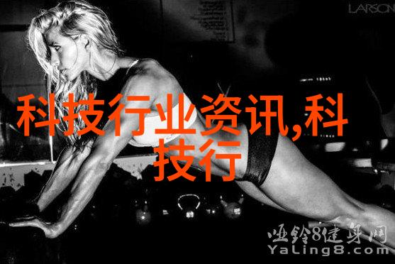 海上钓鱼冒险探索大海的钓鱼乐趣