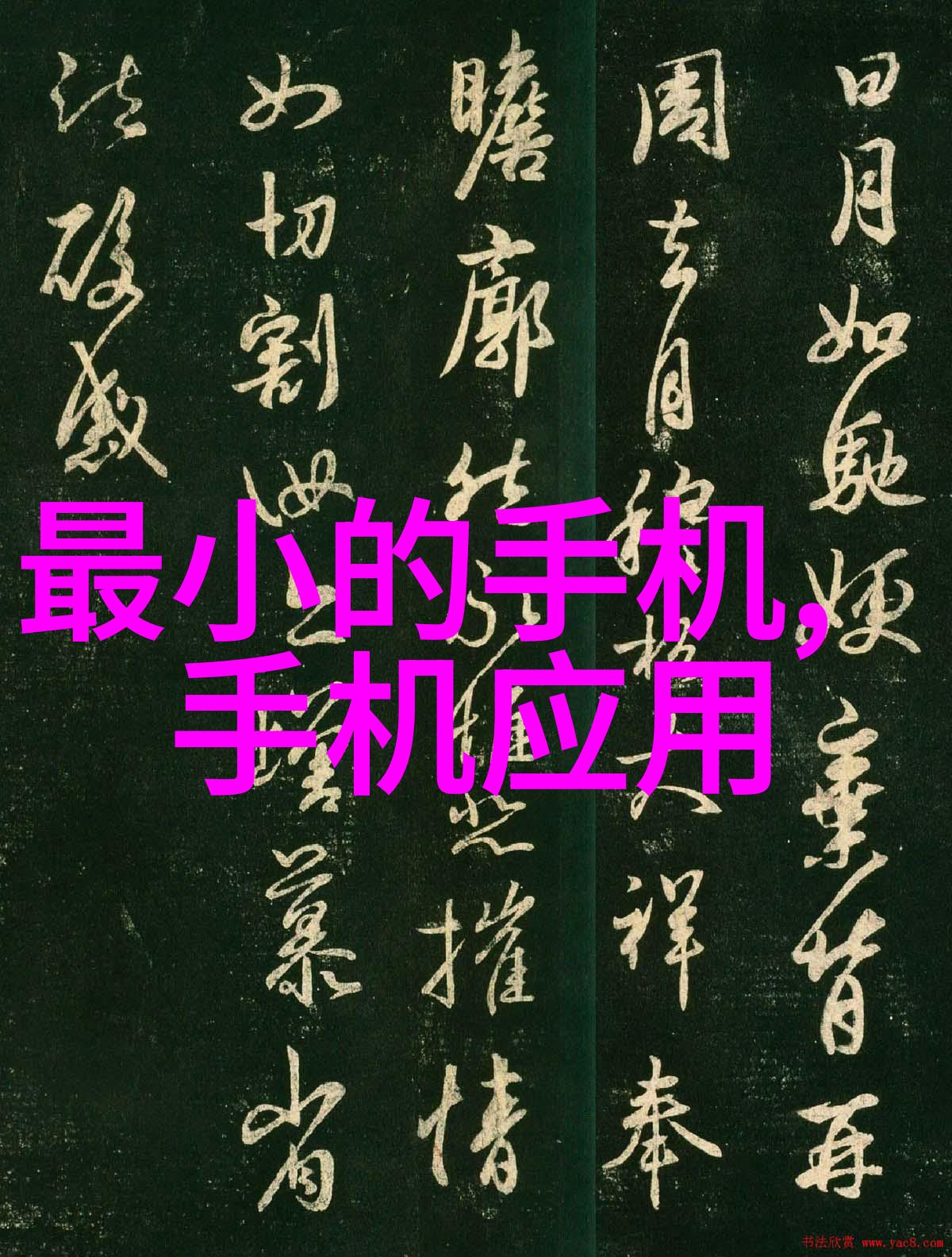 食用菌烹饪技巧-精选最好的食用菌灭菌锅炉提升家常美味