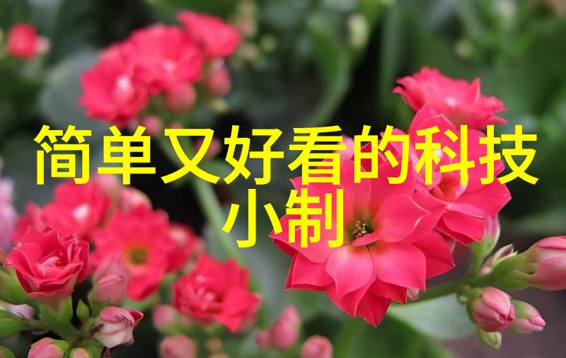 螺旋分离器高效的物质纯化技术