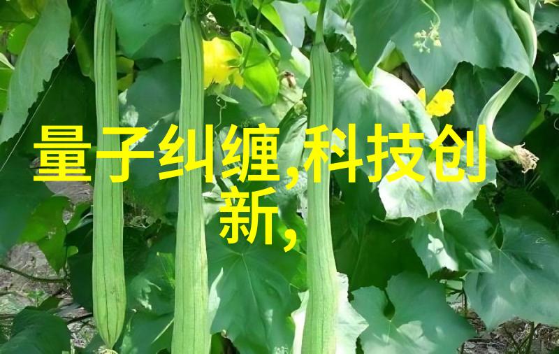 汽车-车水马龙中的冷静守护者汽车散热器的重要性探究