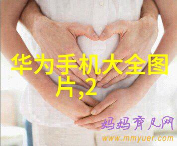 250y与350y填料的两种极致反差生活