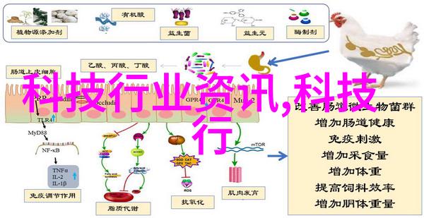 夏娃的诱惑探索人性的深层