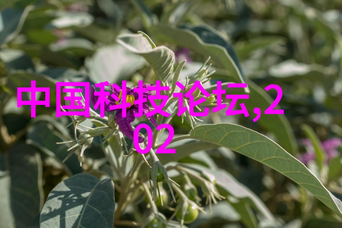 HDPE排水管及管件图解指南完美解决下水道系统的视觉难题