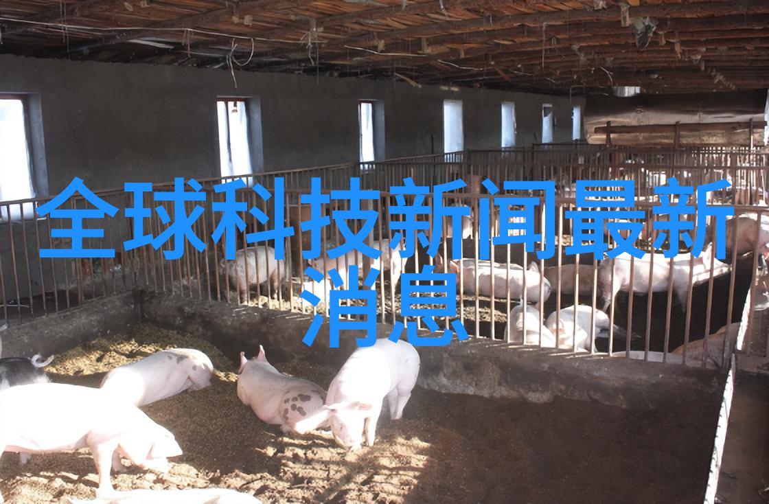 大型工业制冷设备厂家我来告诉你一个秘密如何挑选最适合你的巨型冷库空调