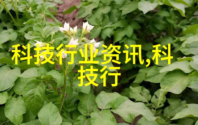 个人如何检测水质亲自揭秘家中水源的安全度