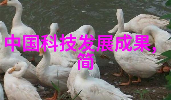 乡村清泉农村自来水过滤设备的选择与安装实用指南