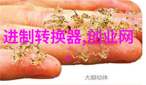 PPR管在建筑工程中的应用优势是什么
