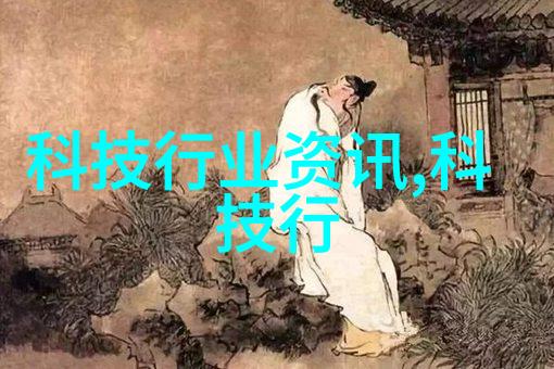 从理论到实践掌握正确使用不同大小temperature probe技巧