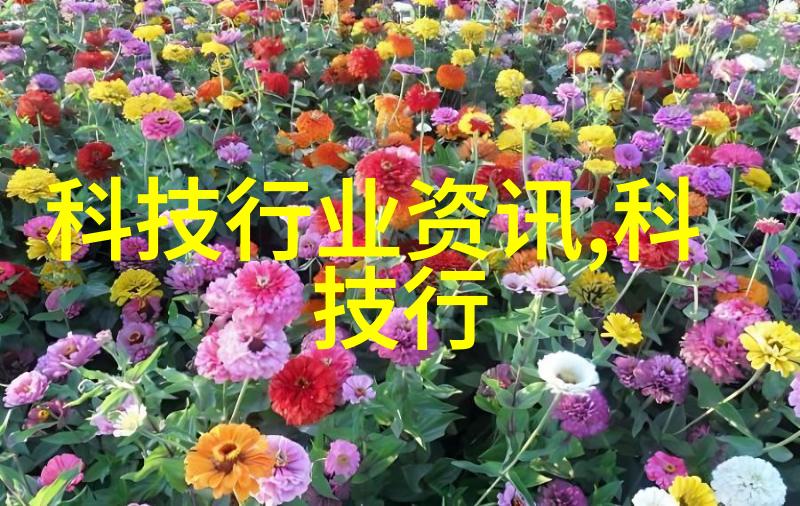 侧妃避宠宫廷斗争中的低位女性
