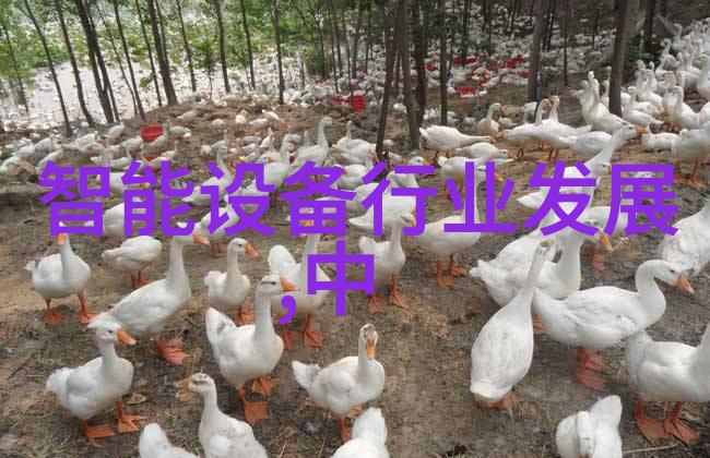 合成氨工艺高效环保的氨气生产技术