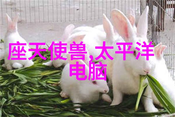 超高压杀菌技术革新消毒效率的新纪元