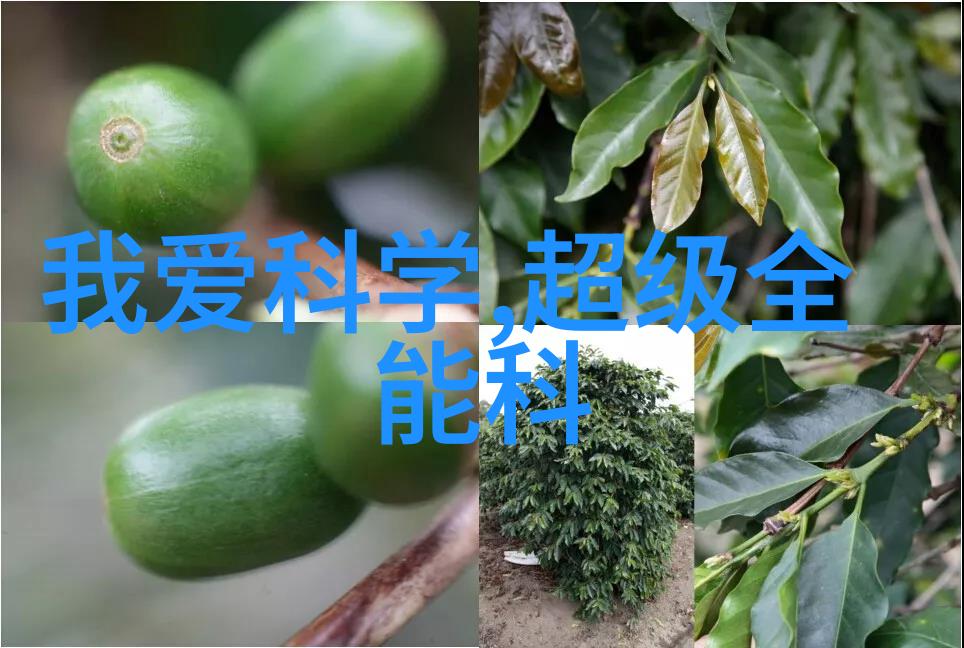 旋振筛技术提升物料分选效率的关键设备