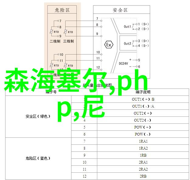 社会责任与实践行动南京财经大学红山学院本科生在企业中的应用
