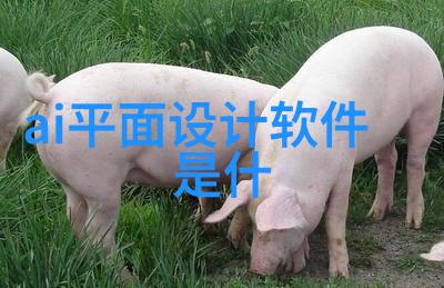 餐厅下水油水分离池全自动重量选别机供应商振动筛神器效率提升清洁无界