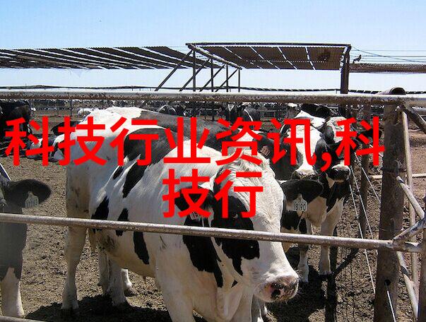 新品管七大手法深度解析创新管理的精髓