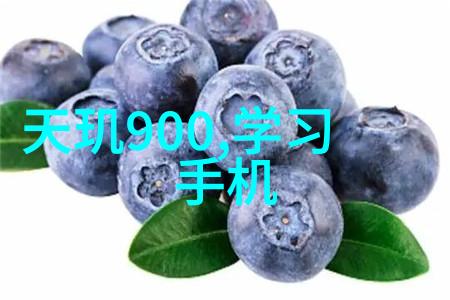 如何正确选择适合自己空间的悬浮球填料
