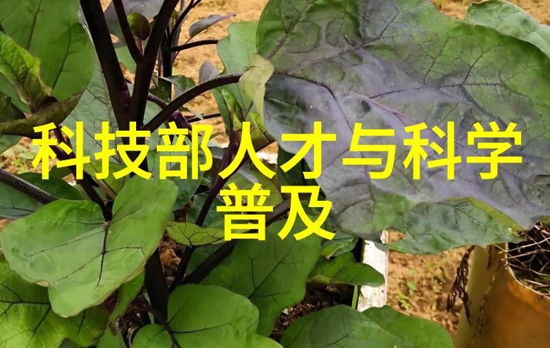 力场之主万能拉力机的秘密