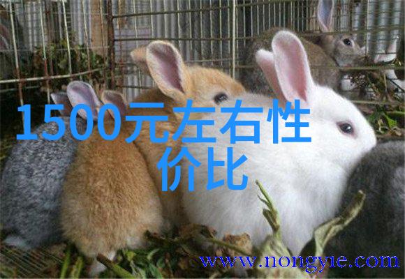西安疫情最新资讯 - 西安加强防控措施全市核酸检测再次推进