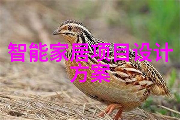 油水分离器的秘密花园内部结构图揭秘它如何在不同时代帮助我们笑傲江湖