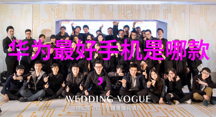 不锈钢矩鞍环填料标准亲自揭秘你的使用方法与注意事项