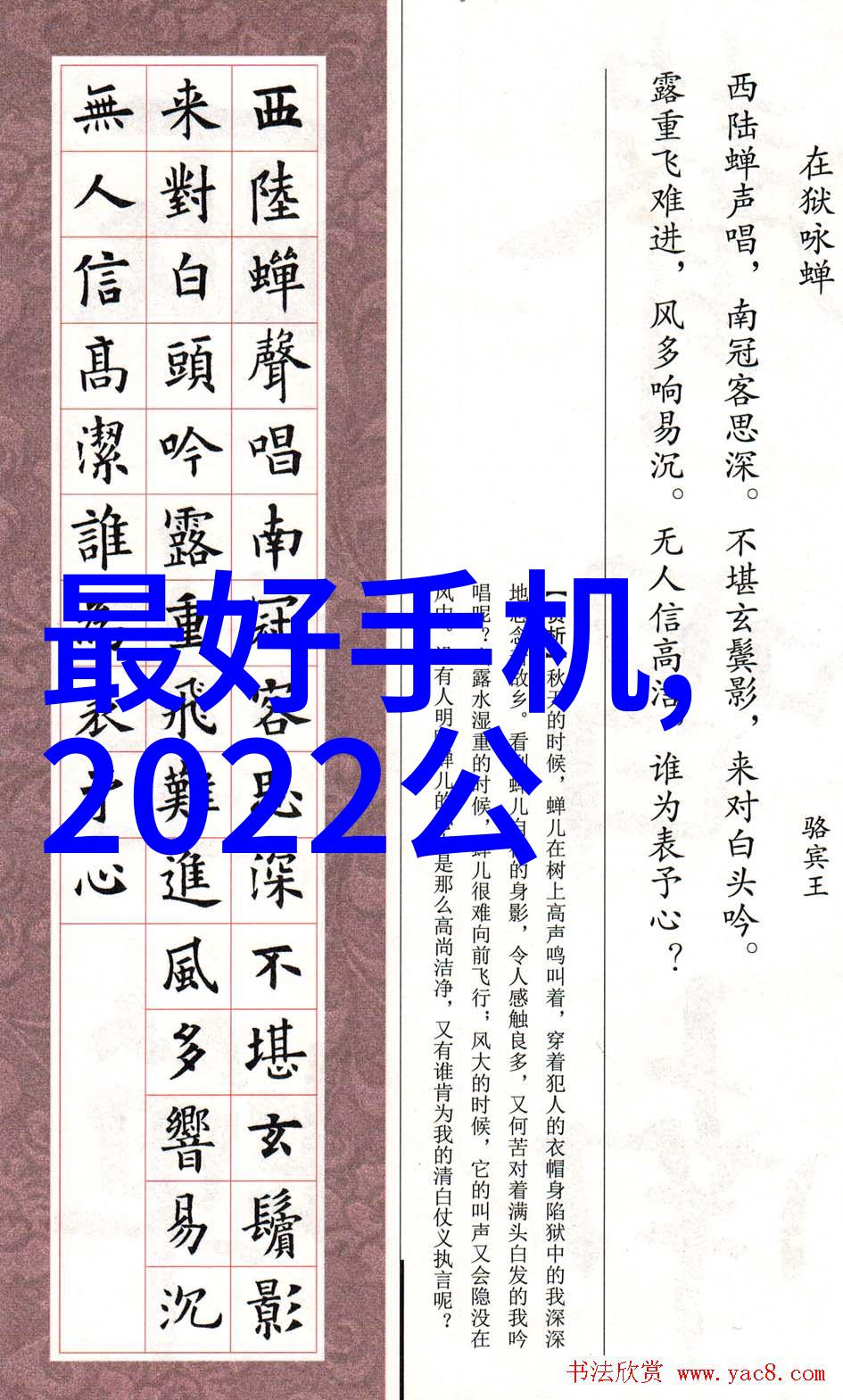 不锈钢丝网我的填料选择之谜