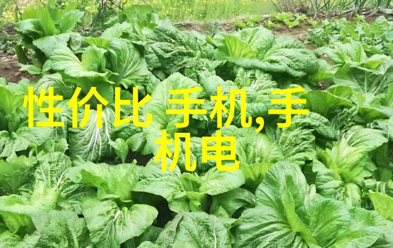 如何在有限的空间内创造出高效的厨房布局