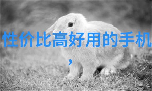 科学探秘水下世界的奇妙建筑师鲍尔环填料作用