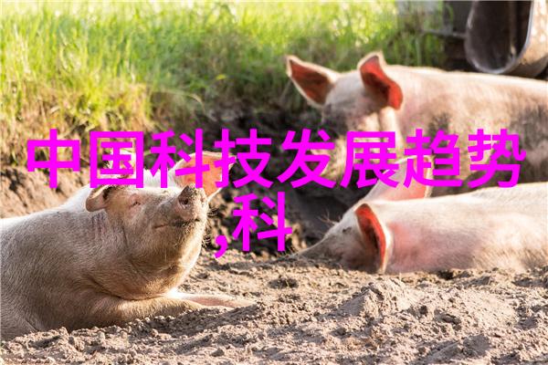 管式离心机工作原理之谜它是如何将液体分离的