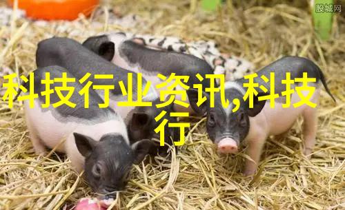 PE管件全新料生产厂家塑料管道行业的新希望