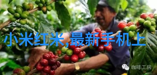辐射技术在食品安全中的应用与辐照灭菌设备