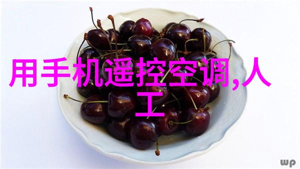 东港股份潮涨的财富之舟