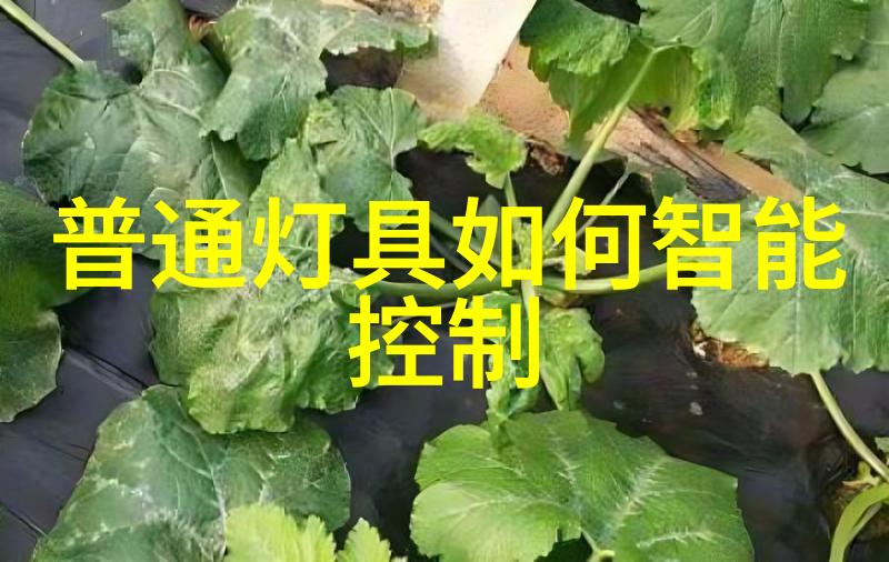 高效能离心分离机的应用与优势