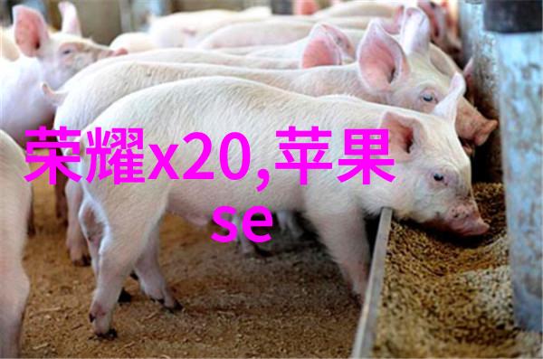 天际糖果屋星光甜蜜的更新日历