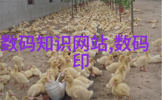 春日暖阳下的郁金香传递的不仅是花语