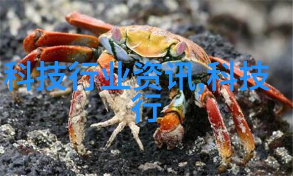 高效干燥技术的应用与发展