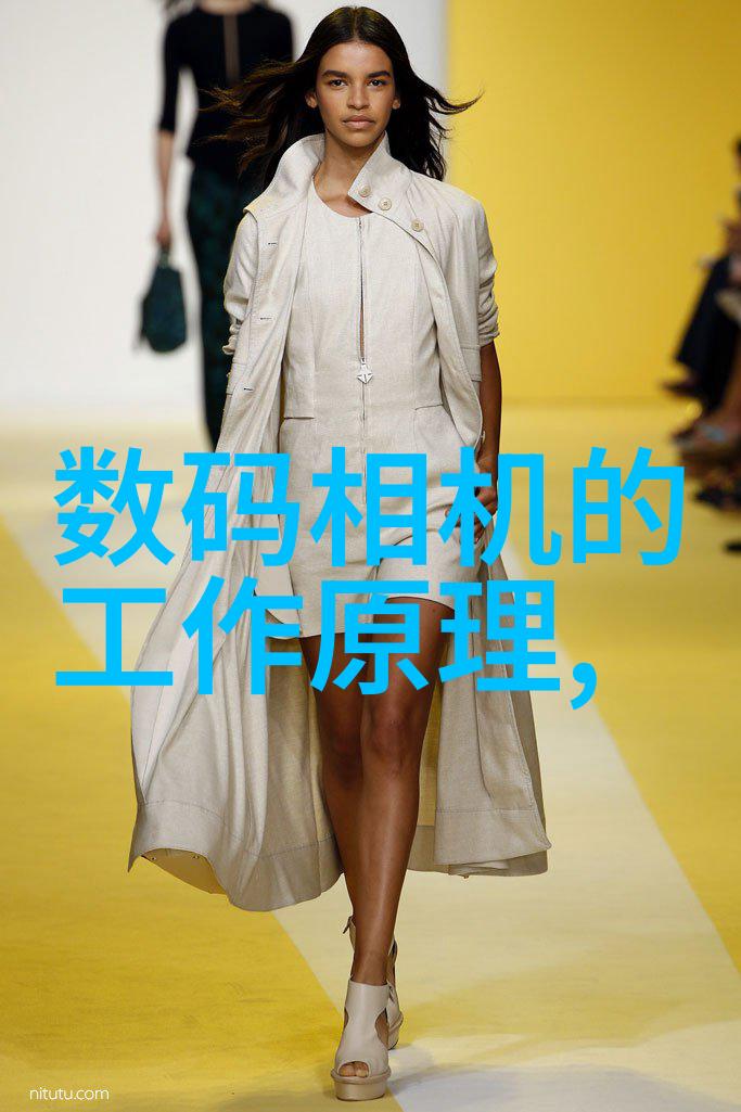 家居梦想丽维的温馨守护