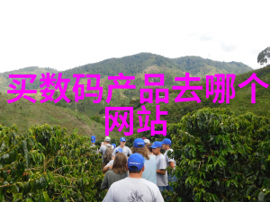 功能性与审美兼顾厨房岛屿工作区设计方案