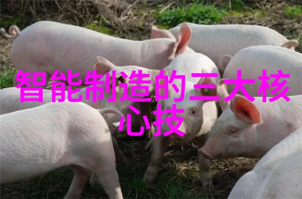 液态界限揭秘膜分离设备的奇妙运作