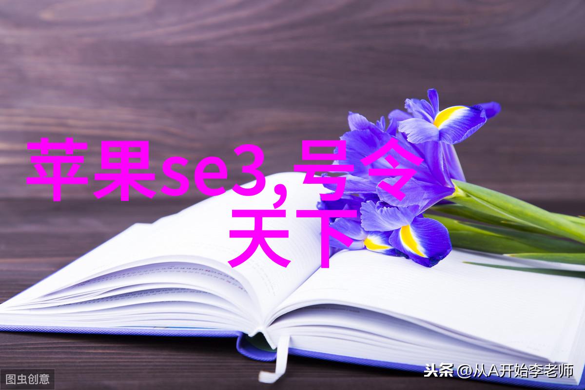 小型一体化污水处理成套设备的设计与应用研究以节能减排为导向的新技术探索