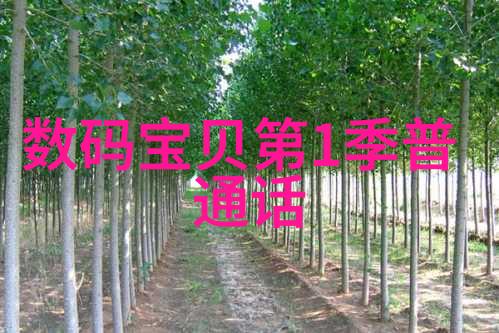 化学分析-高效液相层析柱分离纯度的艺术与技术